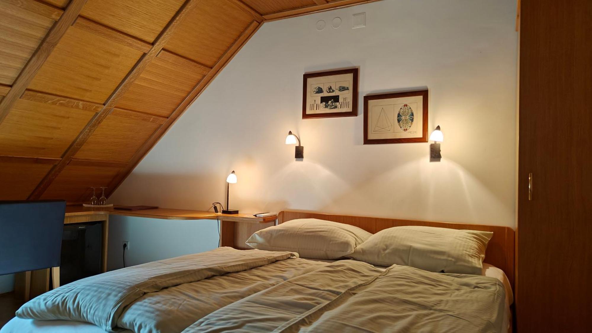 Guesthouse Pri Zalogarju ゴレンスカ地方 エクステリア 写真